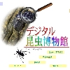 デジタル昆虫博物館